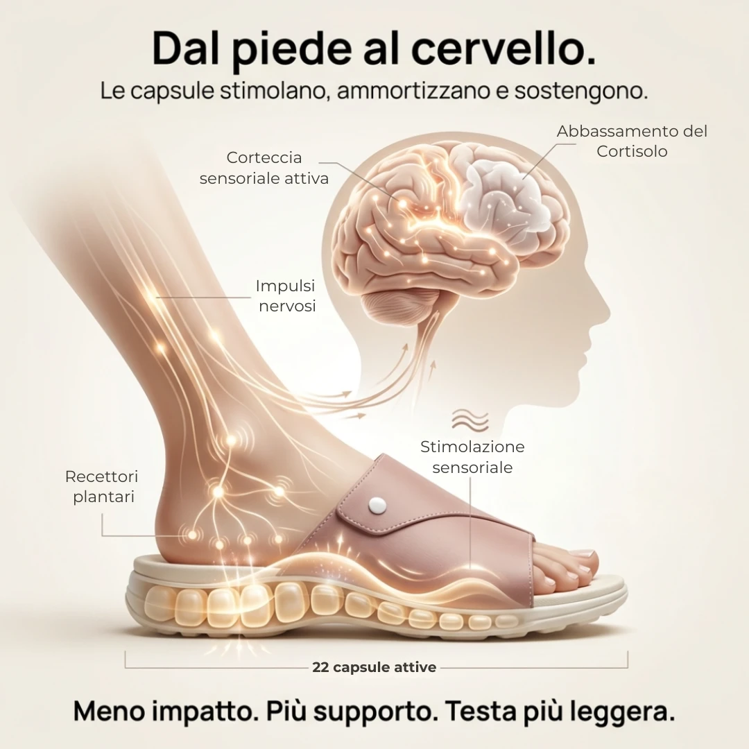 Dal piede al cervello — capsule stimolano recettori, impulsi nervosi, corteccia sensoriale